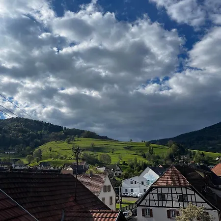 Proche De Colmar Et Kaysersberg Pour 10 Personnes Apartment *