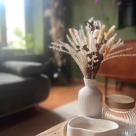 Proche De Colmar Et Kaysersberg Pour 10 Personnes Apartment