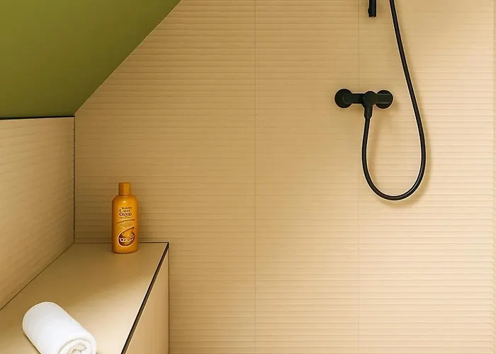 Maison Maneki Premium Pour 10 Personnes Avec Sauna Appartement Lapoutroie
