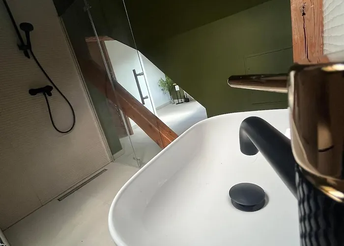 Appartement Maison Maneki Premium Pour 10 Personnes Avec Sauna *